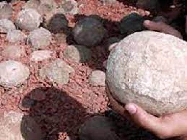 بيض الديناصور