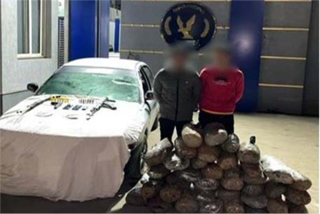 تجار الكيف وقعوا بـ115 كيلو بانجو وأسلحة نارية بدمياط