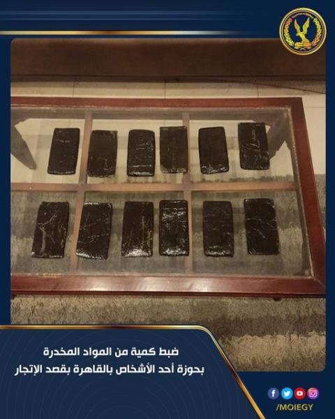 المضبوطات