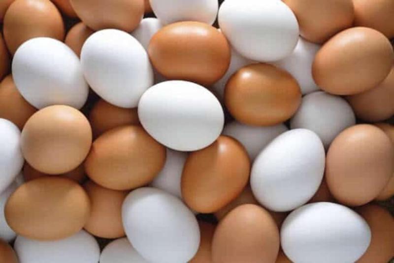 أسعار البيض في ارتفاع 