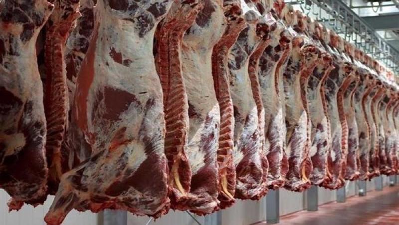 أسعار اللحوم بمعارض أهلا رمضان