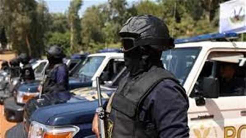   الشرطة المصرية