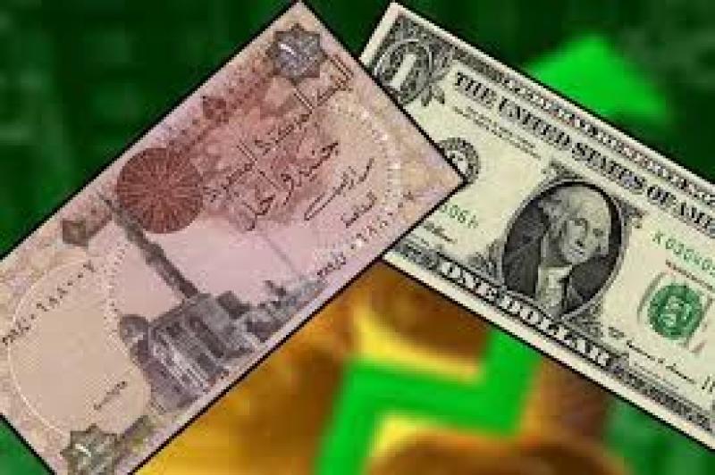 الدولار مقابل الجنيه المصري 