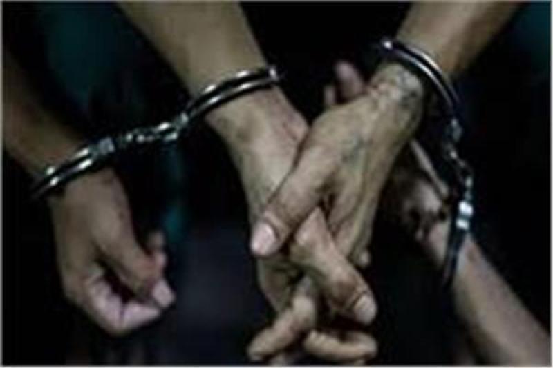 حبس 25 عاطلاً بتهمة الاتجار في المخدرات وحيازة الأسلحة بالقليوبية