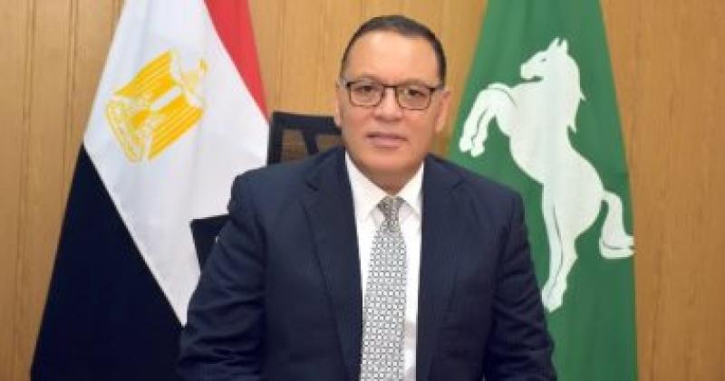محافظ الشرقية