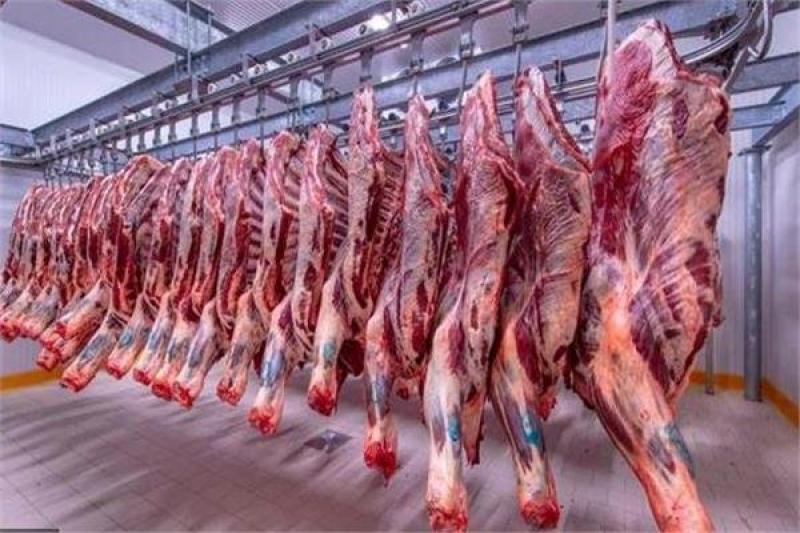 أسعار اللحوم في السوق اليوم الخميس 9 نوفمبر 2023