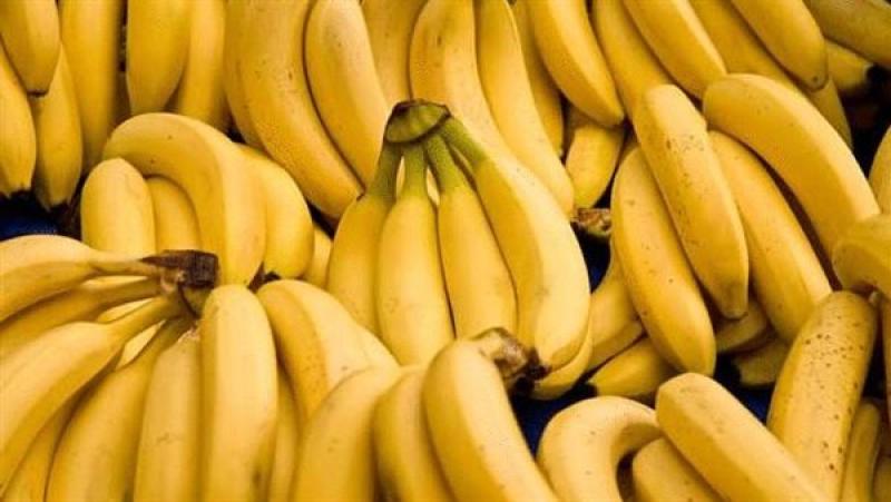 تعرف على فوائد فاكهة الموز لصحة صغارك