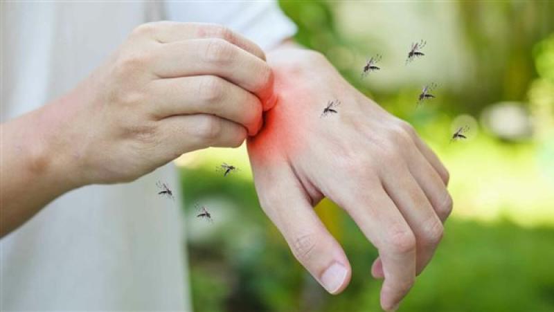 أعراض وأسباب الإصابة بالملاريا، وطرق علاجها المختلفة