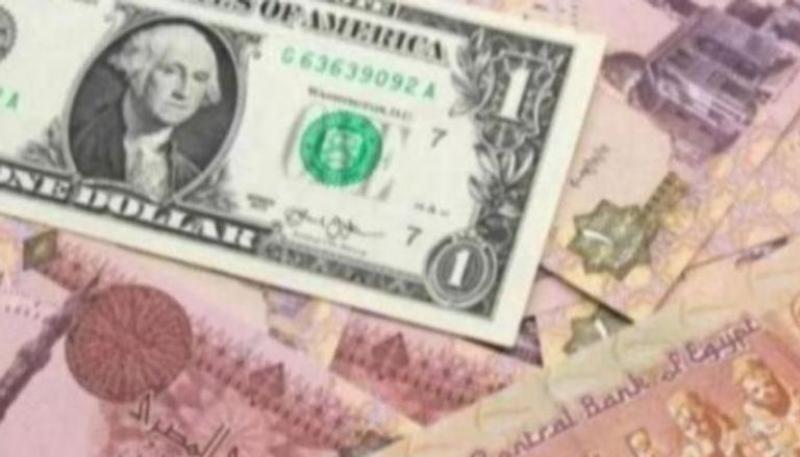: استقرار سعر الدولار في مصر اليوم مع ترقب قرارات البنك المركزي