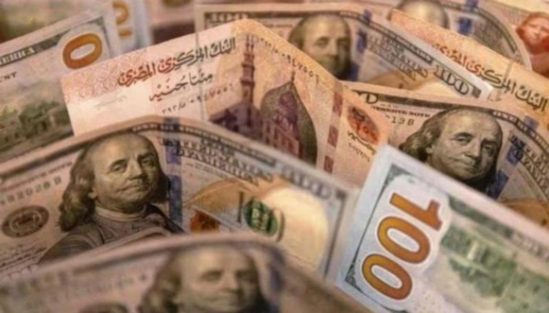 استقرار سعر الدولار أمام الجنيه المصري في البنوك المصرية اليوم