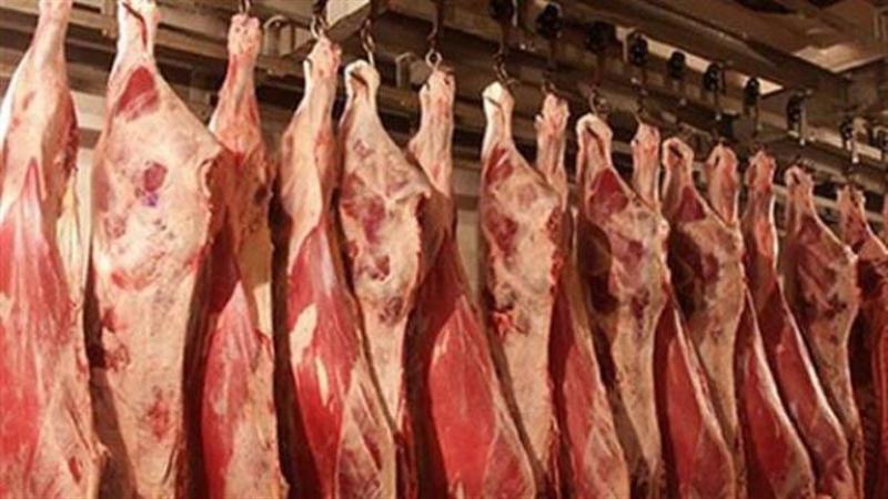 تحديث أسعار اللحوم قبل حلول شهر رمضان بنسبة 50 جنيهًا