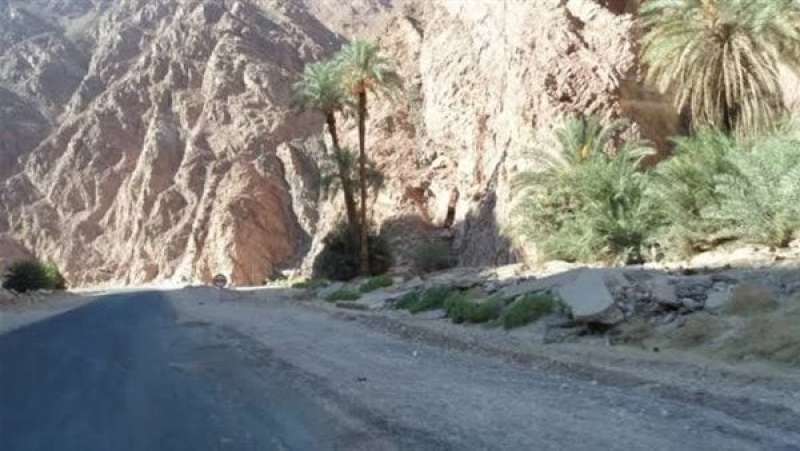 مصرع ثلاثة أشخاص وإصابة 11 آخرين في حادث تصادم بجنوب سيناء