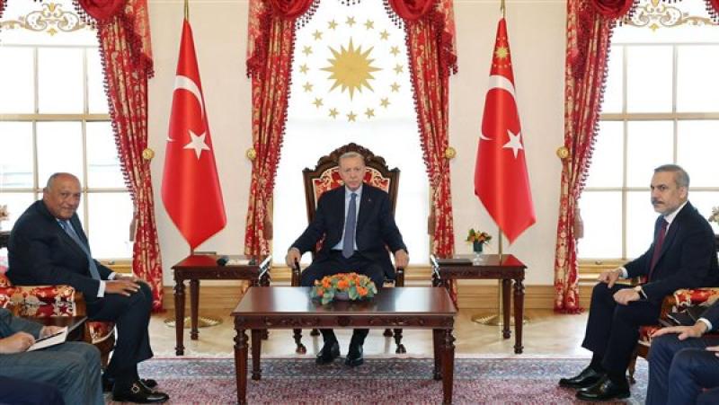 إردوغان يستقبل سامح شكري