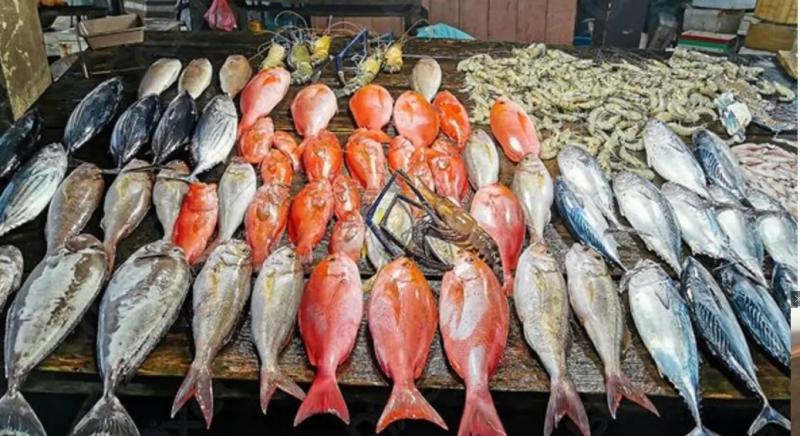 انخفاض أسعار السمك بسبب حملة المقاطعة: ”خليها تعفن” تؤثر على دورة العرض والطلب
