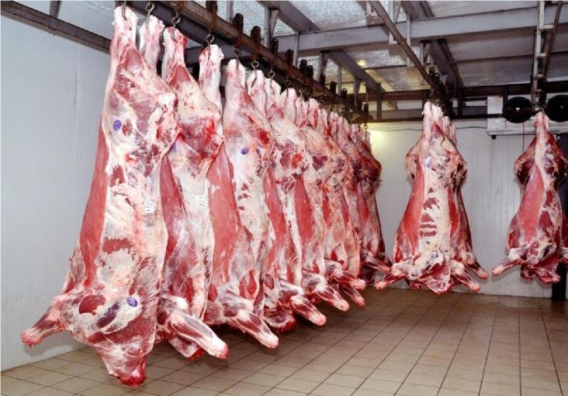 ارتفاع أسعار اللحوم في الأسواق المصرية: تداعيات دعوة المقاطعة وتأثيرها على الشعب والسوق
