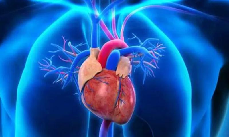 25% من المصابين بعدم انتظام ضربات القلب أعمارهم تقل عن 65 عاما