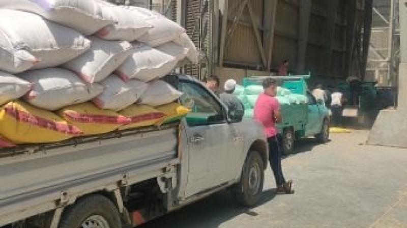 تموين سوهاج ”توريد 51 ألف طن من محصول القمح إلى الشون والصوامع بنطاق المحافظة