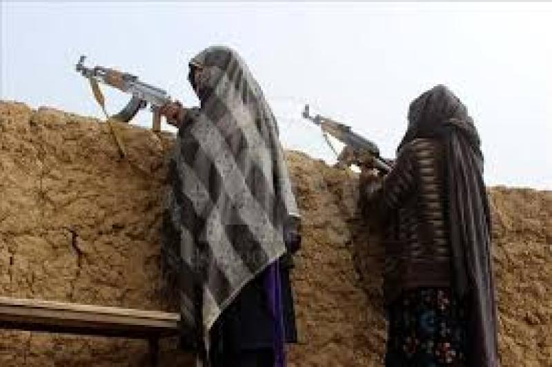 واقعة مروعة في قنا: سيدات يطلقن النار في خلاف على قطعة أرض زراعية