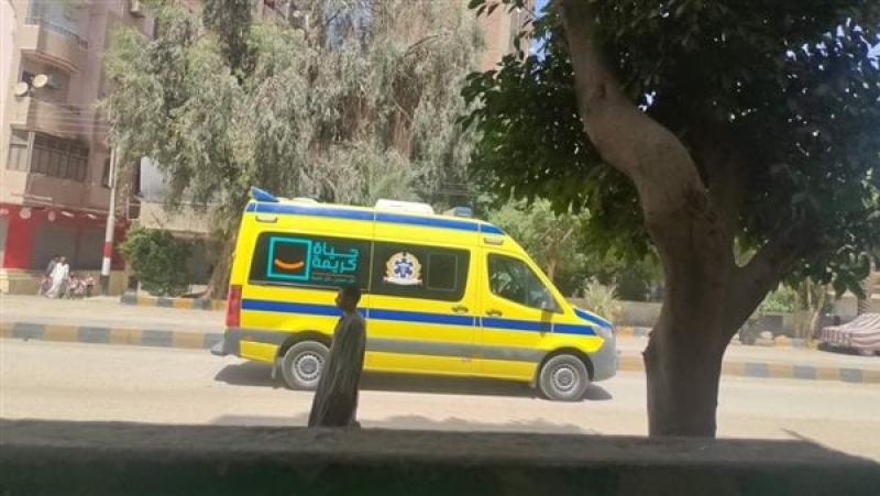 إصابة 5 أشخاص في انقلاب سيارة ربع نقل على طريق وادي النقرة بأسوان