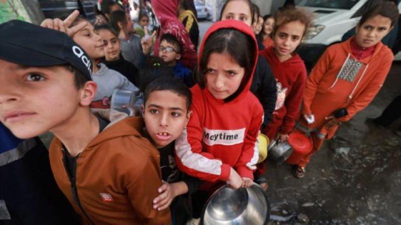 مسؤول التعليم الفلسطيني: نثمن جهود مصر لإنقاذ العملية التعليمية في غزة