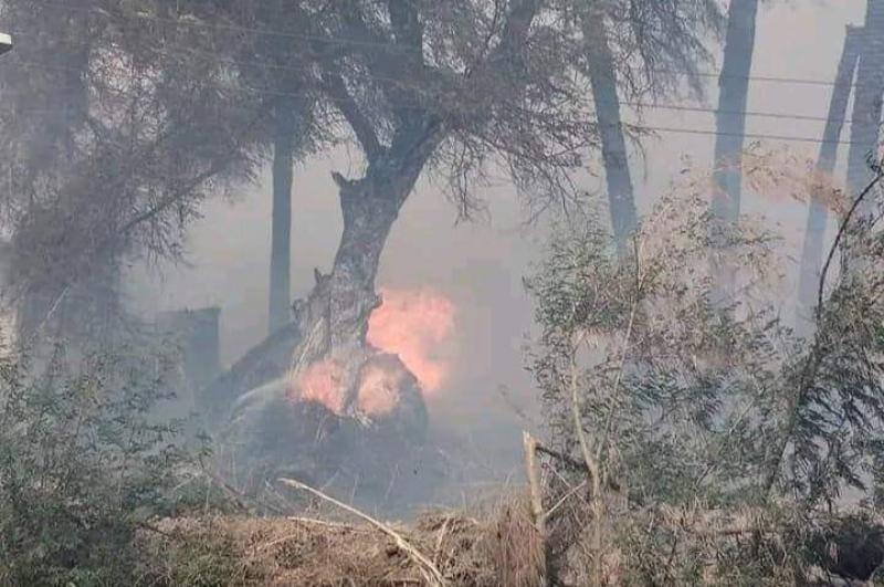 حريق هائل يلتهم 16 منزلاً وحوش وإصابة 10 أشخاص بجهينة بسوهاج
