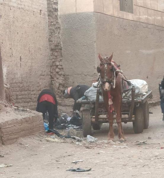 النباشون”اطفال الشوارع خطر ” قنبلة موقوتة ” فى مواجهة الدولة المصرية
