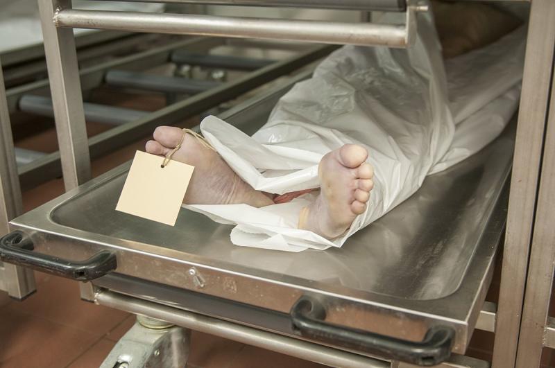 تفاصيل مقتل مقاول من ذوي الهمم على يد شقيقين بسبب 2000 جنيه