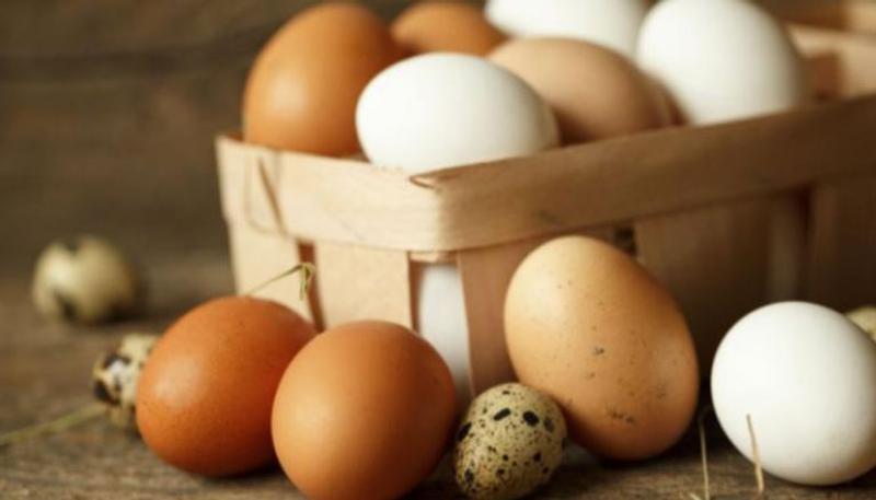 محاكمة  أم سويدية  كسرت بيضة على جبهة طفلتها على تيك توك