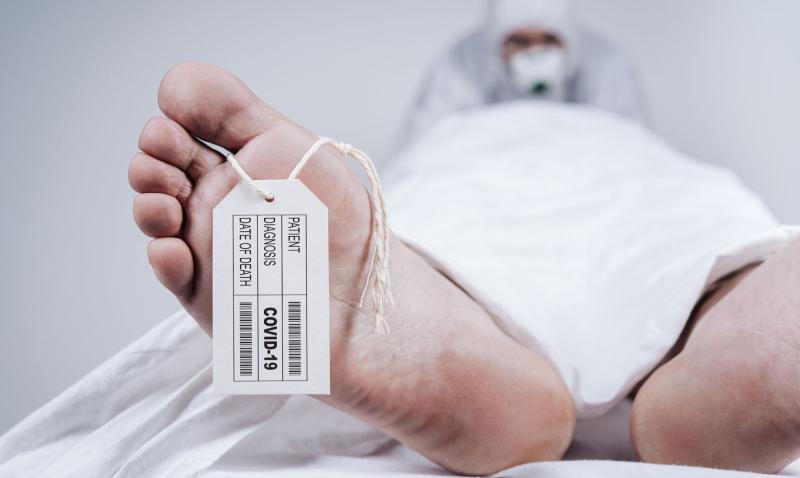 العثور على 5 جثث خلال التنقيب عن الذهب بالعلاقي في أسوان