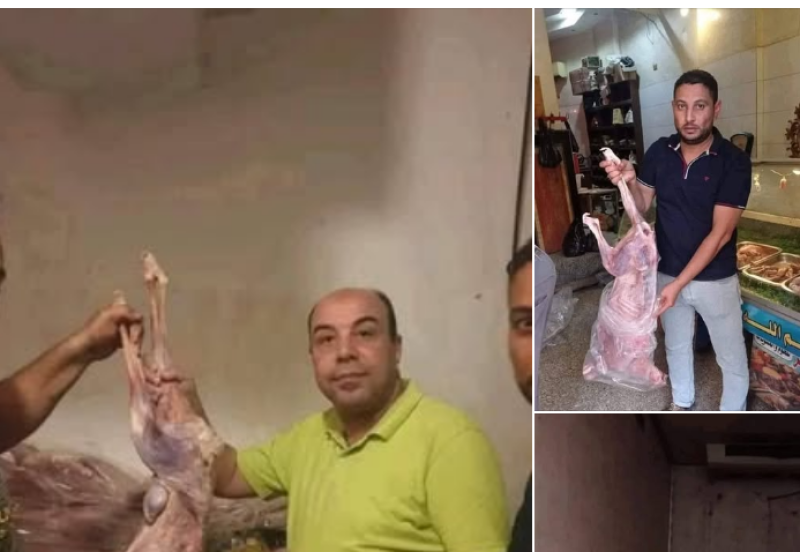 قصة صور مطعم شهير في البحيرة يقدّم لزبائنه مشويات من لحوم الكلاب على أنها لحوم ضأن
