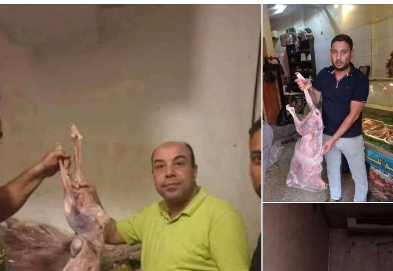 قصة صور مطعم شهير في البحيرة يقدّم لزبائنه مشويات من لحوم الكلاب على أنها لحوم ضأن