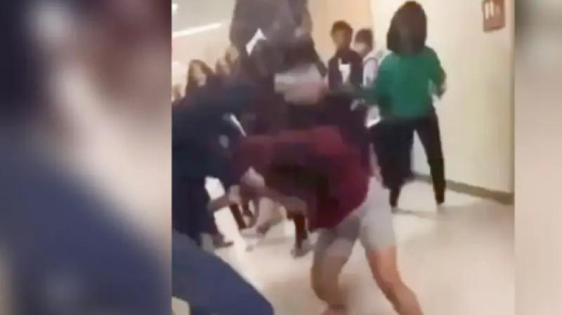 قصة فيديو  ضرب سيدة في طلخا بالدقهلية .. الأمن يكشف التفاصيل