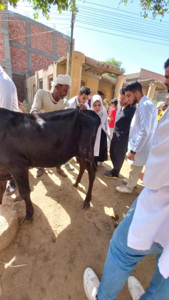 قافلة بيطريه مجانيه لجامعة سوهاج بقرية الحواويش ضمن مبادرة ”حياة كريمة”