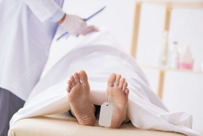 من العسل إلى الدم.. جريمة زوجية تهز العاشر من رمضان