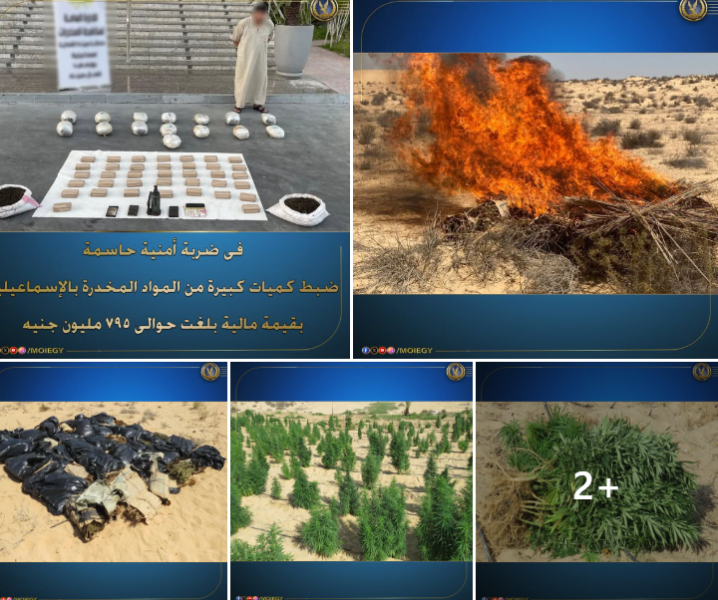 المضبوطات