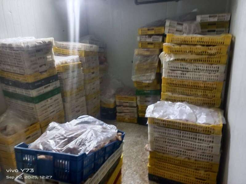 محافظ كفرالشيخ: ضبط 2.5 طن لحوم ودواجن فاسدة في حملات رقابية مكثفة