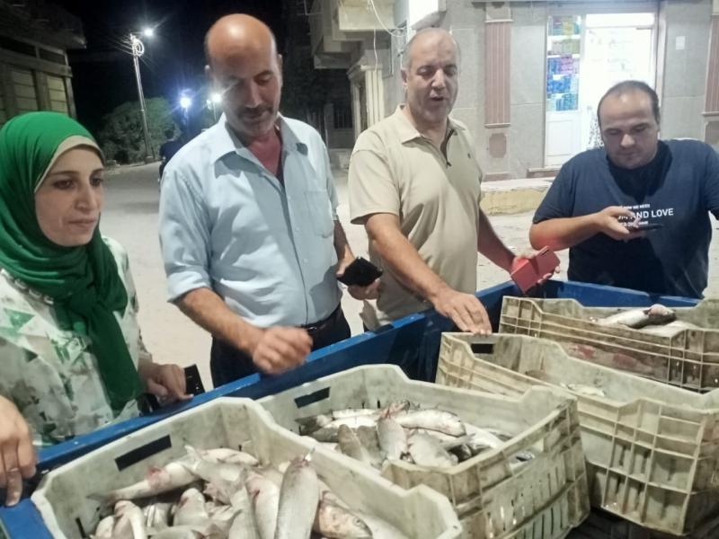 ضبط 400 كيلو أسماك فاسدة بمركز مطوبس بكفر الشيخ.. وإحالة المتورطين للتحقيق