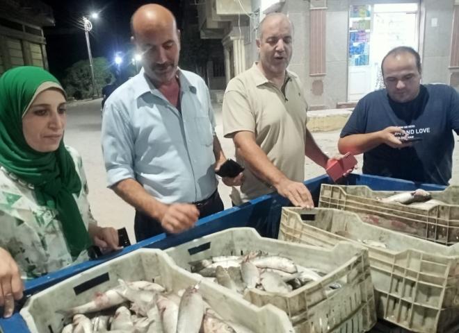 ضبط 400 كيلو أسماك فاسدة بمركز مطوبس بكفر الشيخ.. وإحالة المتورطين للتحقيق