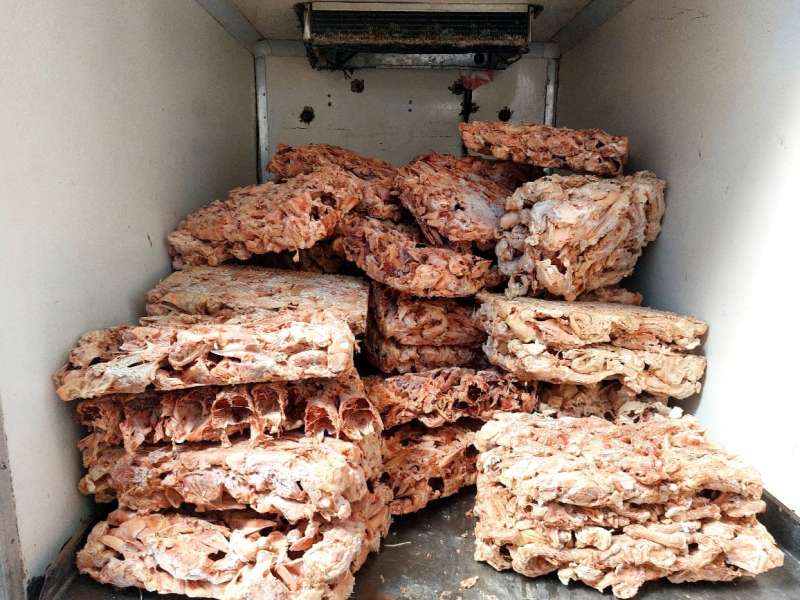بالصور :ضبط خمس طن هياكل دواجن ولحوم مفرومة غير صالحة للاستهلاك الأدمى فى حملة تمونية بكفرالشيخ
