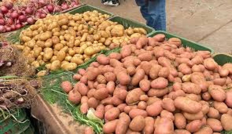 بطاطس قاتله