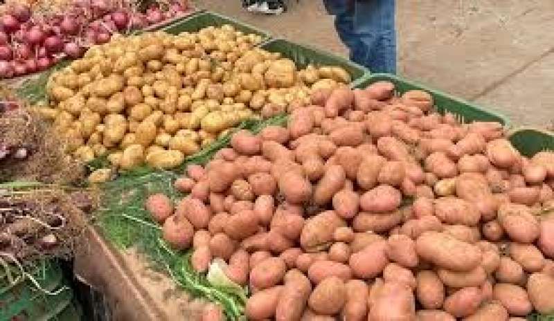 ضبط  خضراوات سامة تباع للناس تسبب في الفشل الكلوي بسوبر ماركت شهير