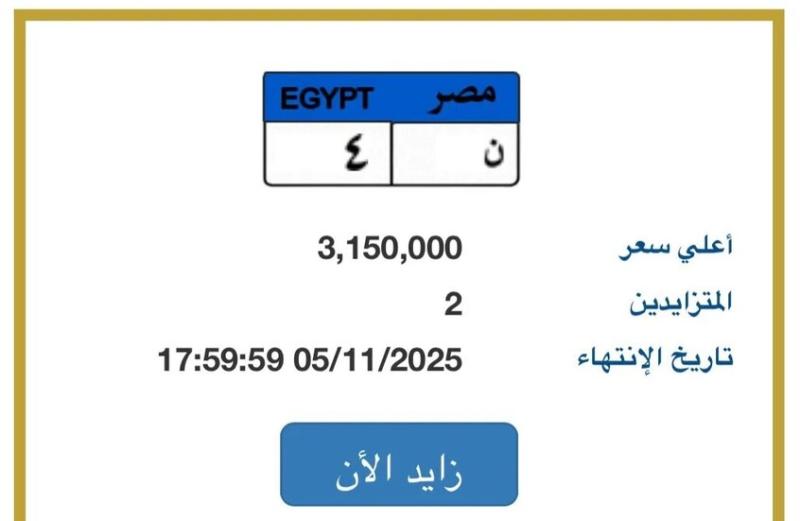 صراع الأثرياء الجدد في مصر.. لوحة ”ن-4” تشعل مزاد الوجاهة الاجتماعية بـ3 ملايين جنيه