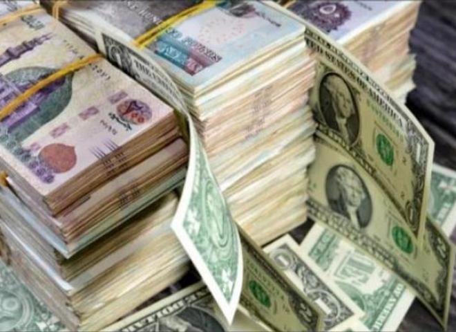 استقرار سعر الدولار في مصر الجمعة 14 نوفمبر 2025.. وتأكيدات حكومية بانتعاش بيئة الاستثمار