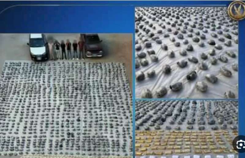 ضبط أكبر شحنة مخدرات على ساحل خليج السويس.. عملية نوعية تُسقط أخطر تشكيل عصابي في لحظة حاسمة