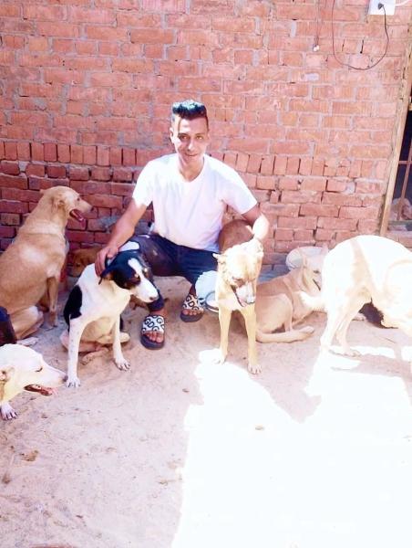 “ملجأ الرحمة يتحوّل إلى مسرح جريمة”.. مقتل شاب من الزقازيق غدرًا على يد صديقه الذي استغل حنانه لإنقاذ الحيوانات