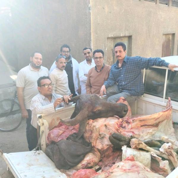 تموين سوهاج ”تحرير 517 مخالفة تموينية في حملات مكثفة لمكافحة الغش والتلاعب في السلع