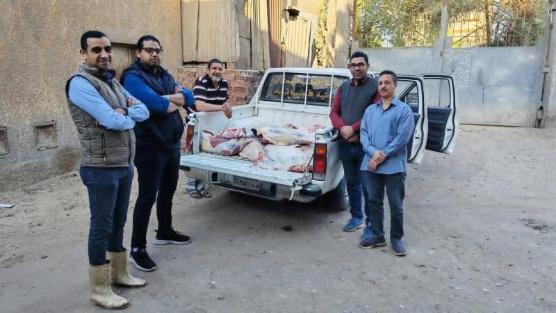 ضبط 750 كيلو لحوم فاسدة بالكوامل.. حملة بيطرية مكبرة تُحبط كارثة صحية قبل وصولها للمواطنين