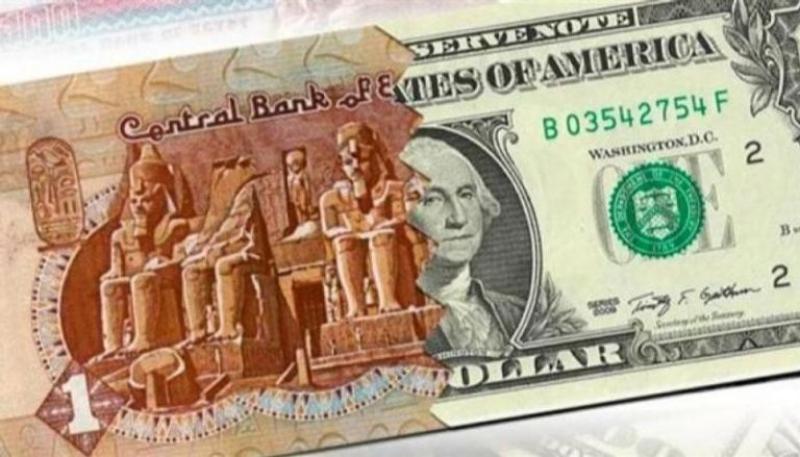 سعر الدولار في مصر اليوم الجمعة 5 ديسمبر 2025.. استقرار حذر مع ترقّب نتائج بعثة صندوق النقد الدولي