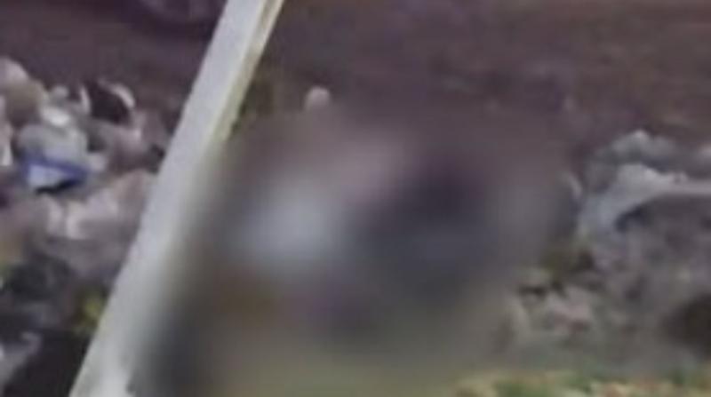 العثور على أشلاء فتاة موزعة في شوارع عين شمس.. جريمة بشعة تهز القاهرة