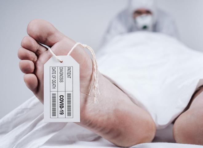 تفاصيل صادمة بعد خمسة أيام من الزواج..جريمة قتل زوج على يد زوجته بعد رفضها معاشرته